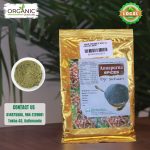 Timur Powder